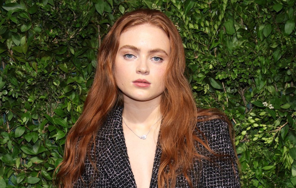 Sadie Sink Net Worth