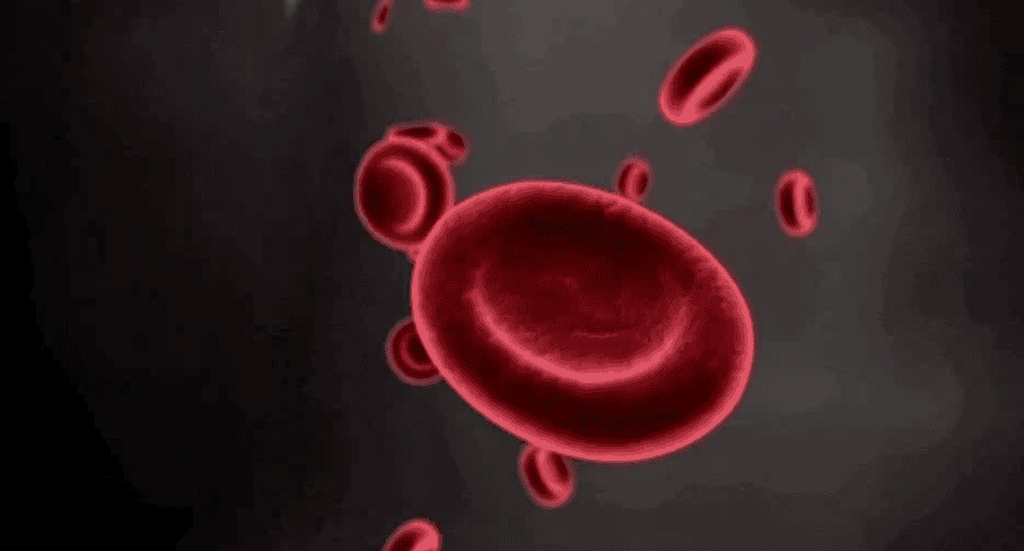 Sara Blood Type