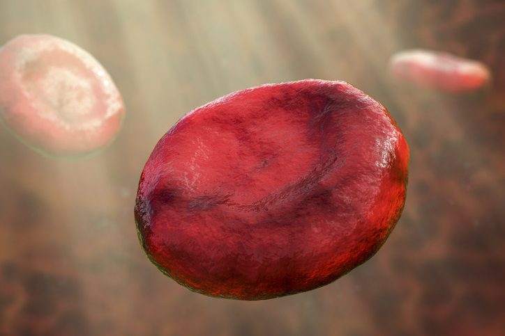 Sara Blood Type