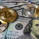 Bitcoin Price Record
