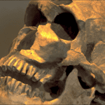 Homo Juluensis