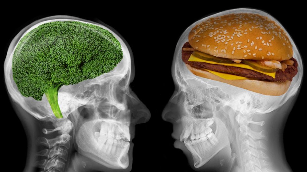 harmful effects of processed foods