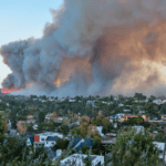 LA Fires