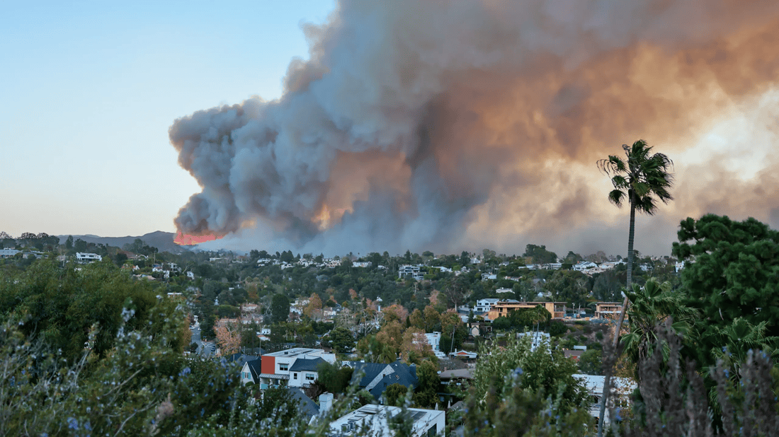 LA Fires