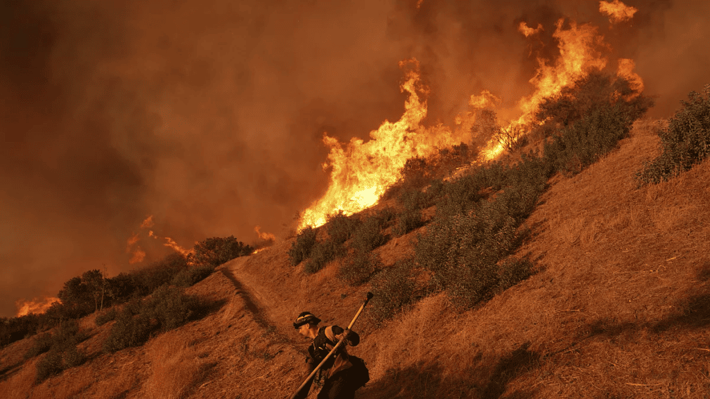 Economic Impact of California Wildfires