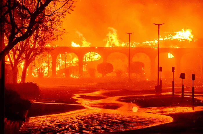 LA Fires
