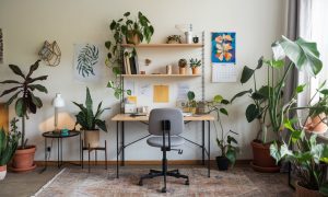 Productive Home Office Setup Ideas
